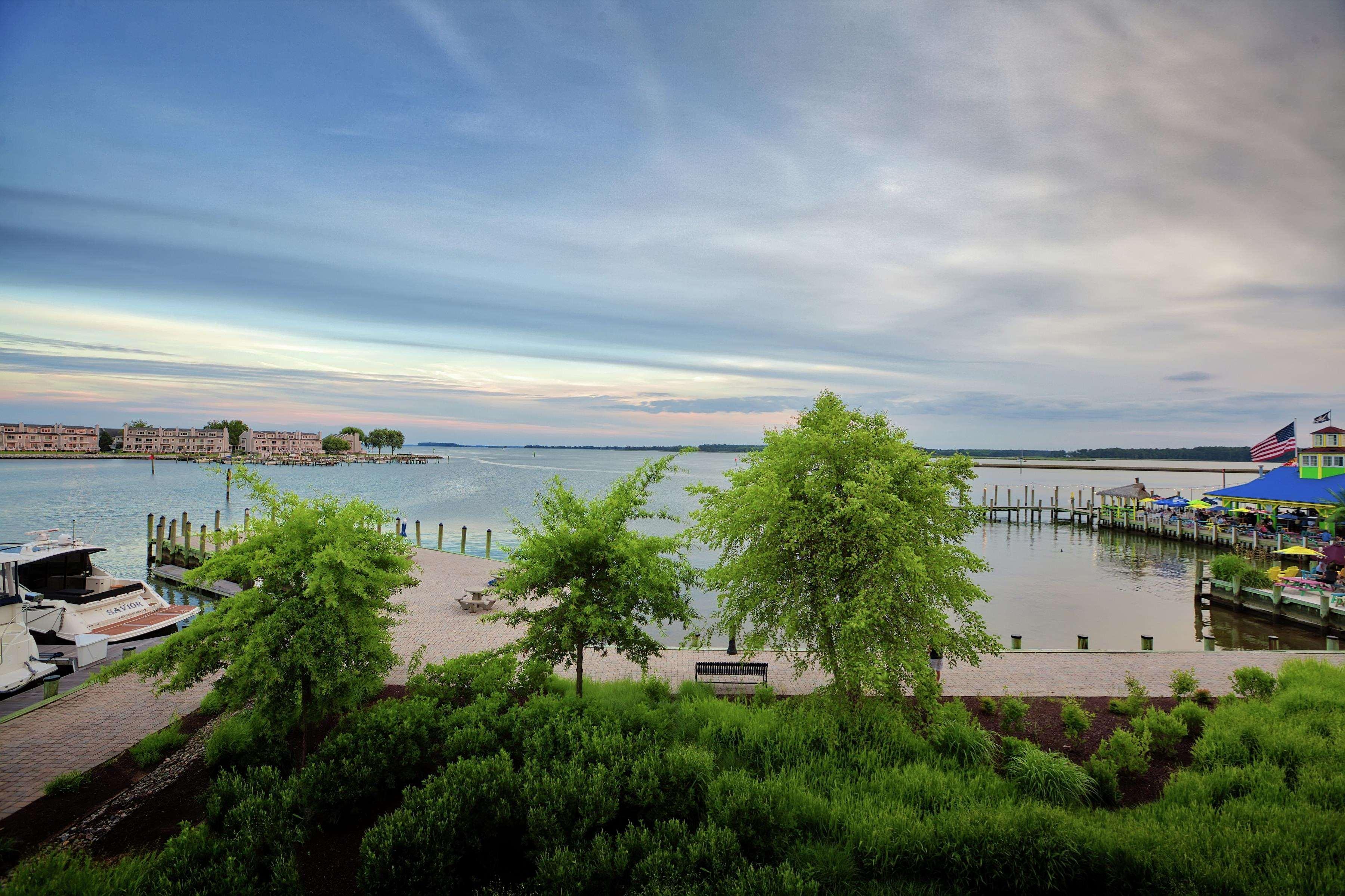 Hilton Garden Kent Island Marina 3*